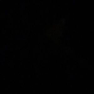 Meet your Posher, Adela